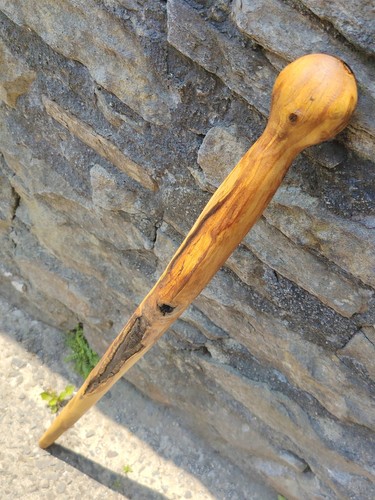 Traditioneller edelkastanie - traditioneller,