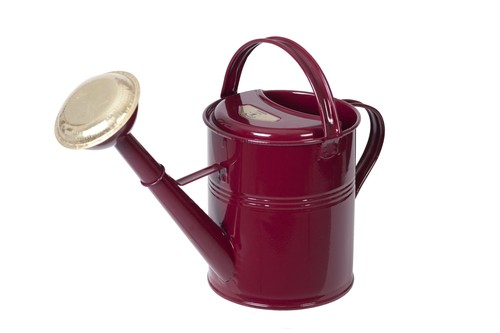 British can traditional - traditional, 5